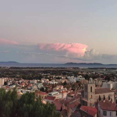 Join Advocacy Movements